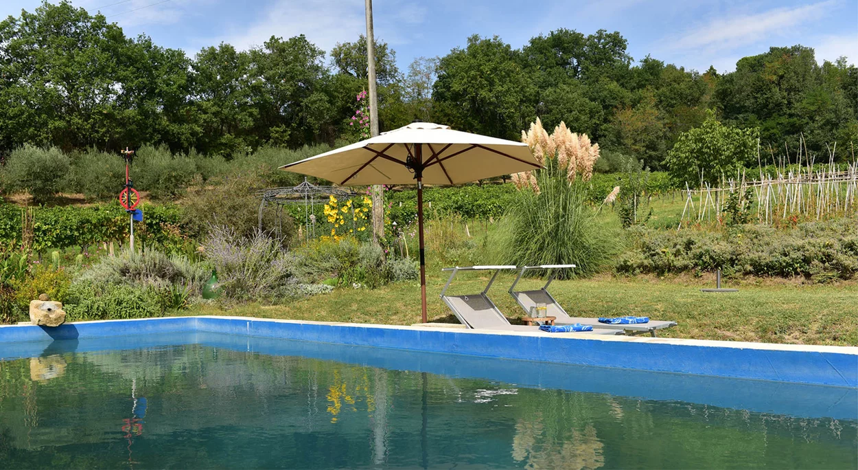 Piscina naturale con ombrellone e sdraio in giardino