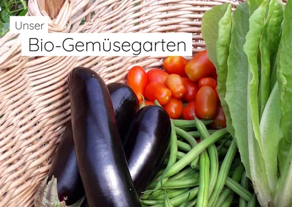 Unser Bio-Gemüsegarten