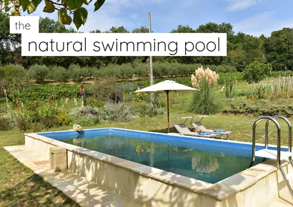 Natural swimming pool